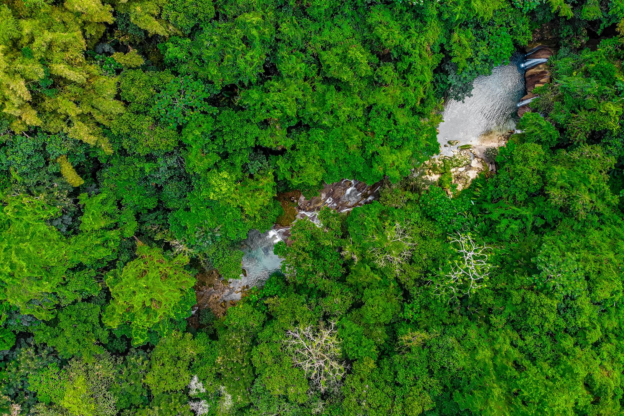 Searching For The Best Waterfalls? Start With Reach Falls Jamaica!