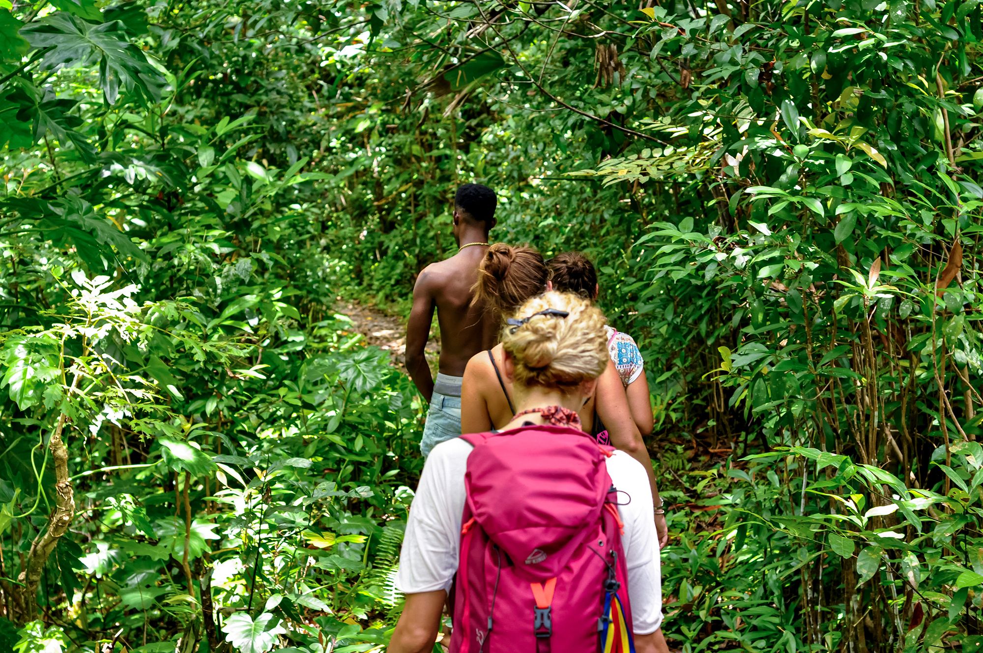 Reach Falls Jamaica Hiking