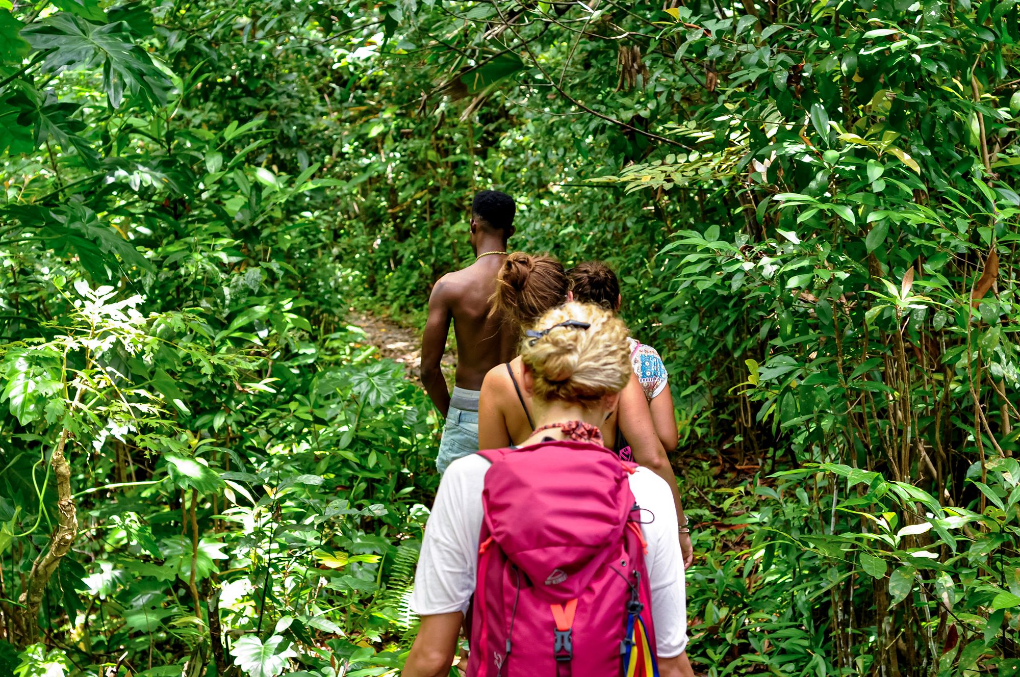 Searching For The Best Waterfalls? Start With Reach Falls Jamaica!