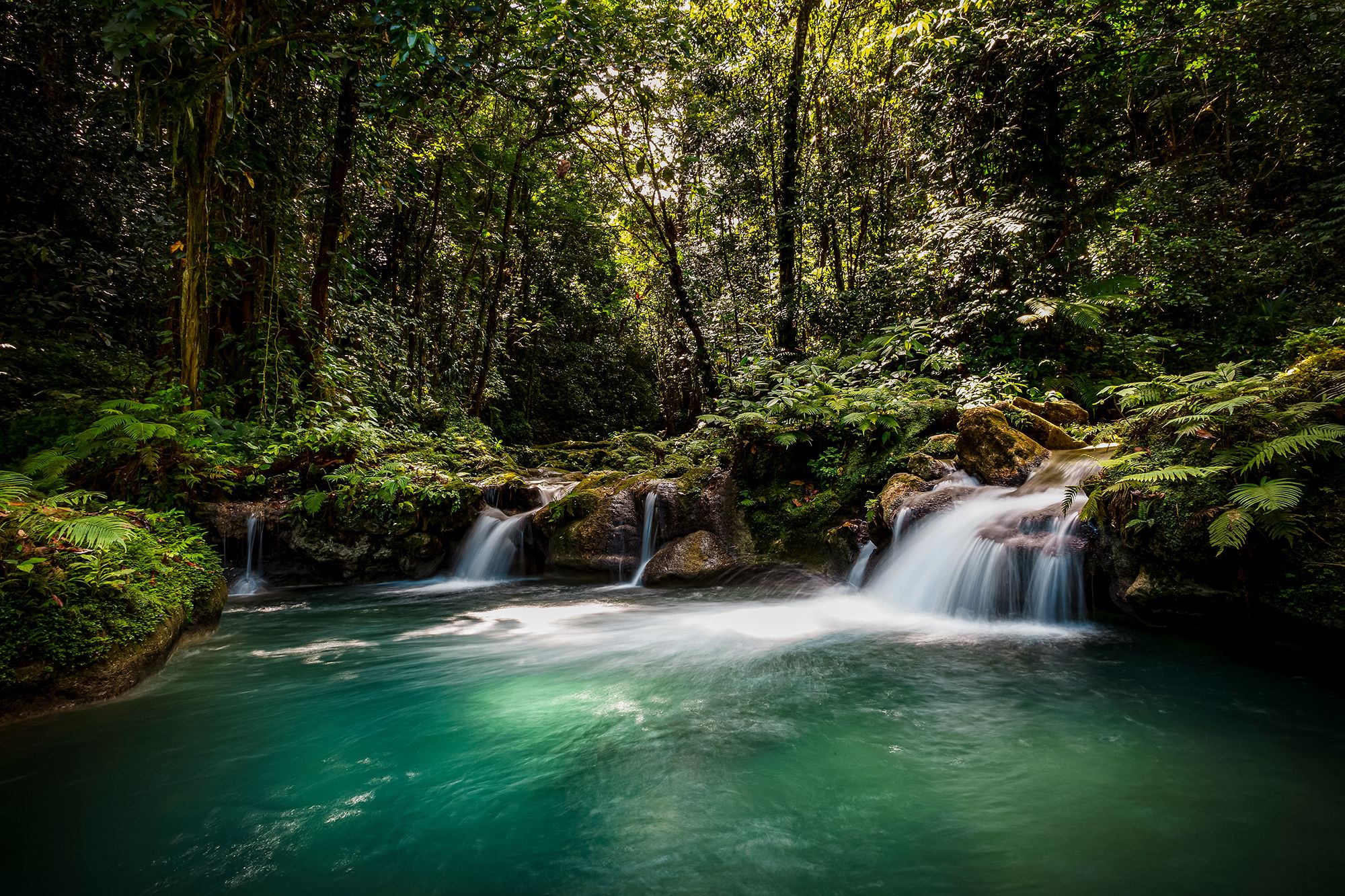 Searching For The Best Waterfalls? Start With Reach Falls Jamaica!