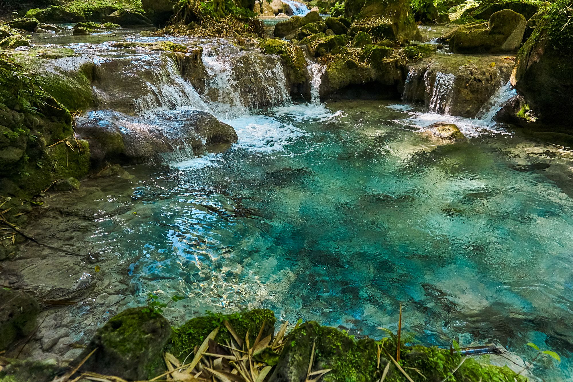 Reach Falls Jamaica Pool