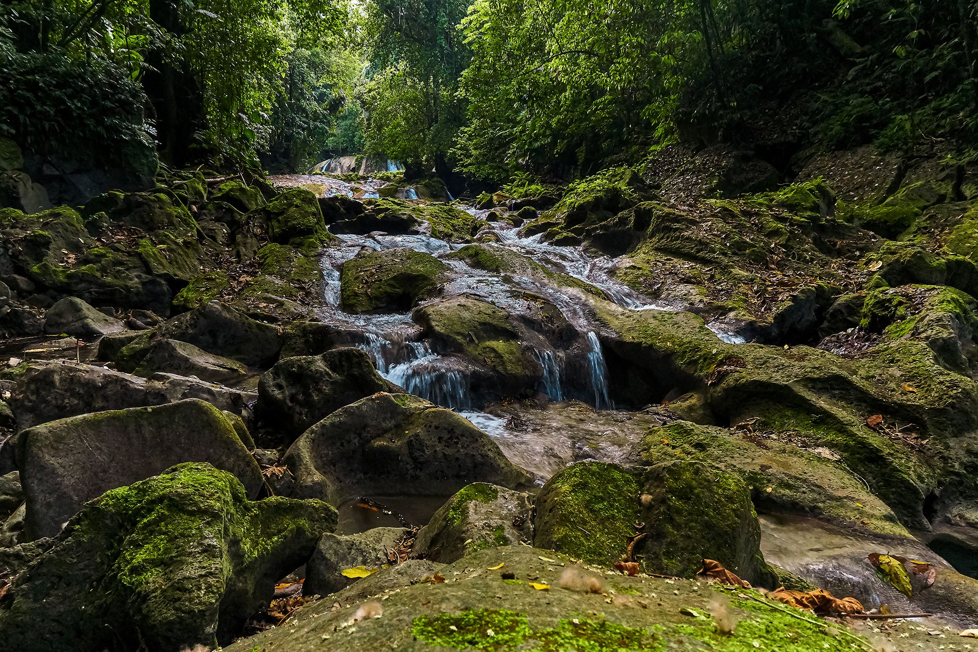 Reach Falls Jamaica Rocks