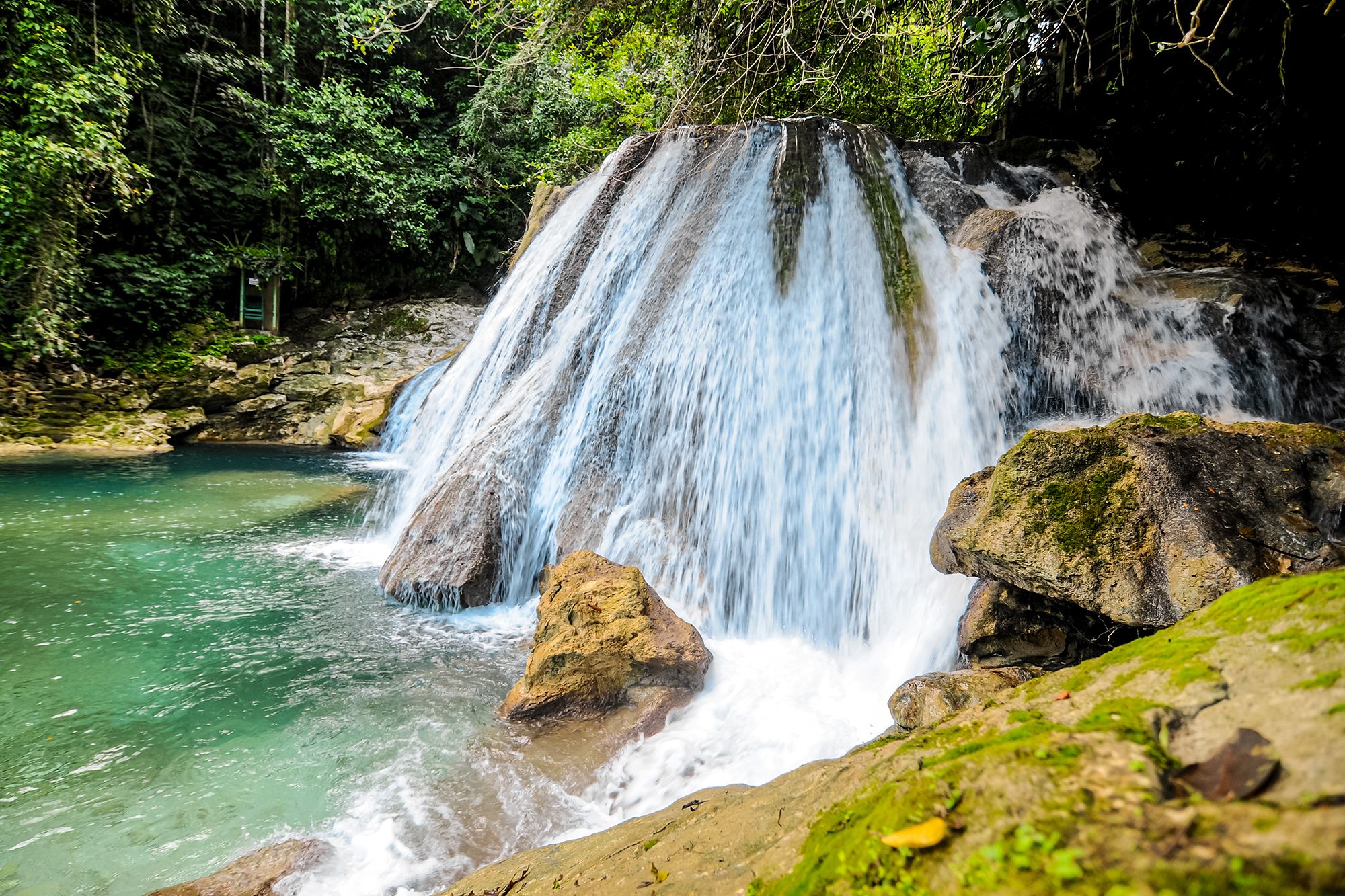 Reach Falls Overview Jamaica