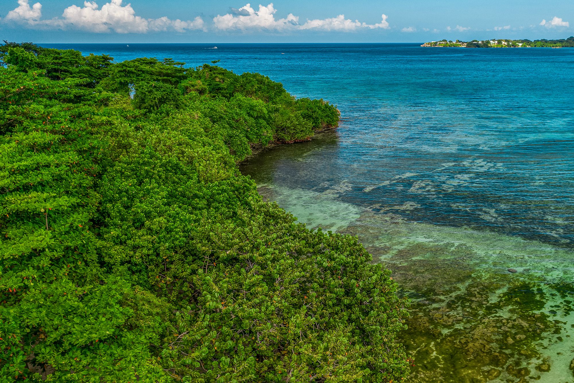 Aerial Booby Cay Negril Jamaica