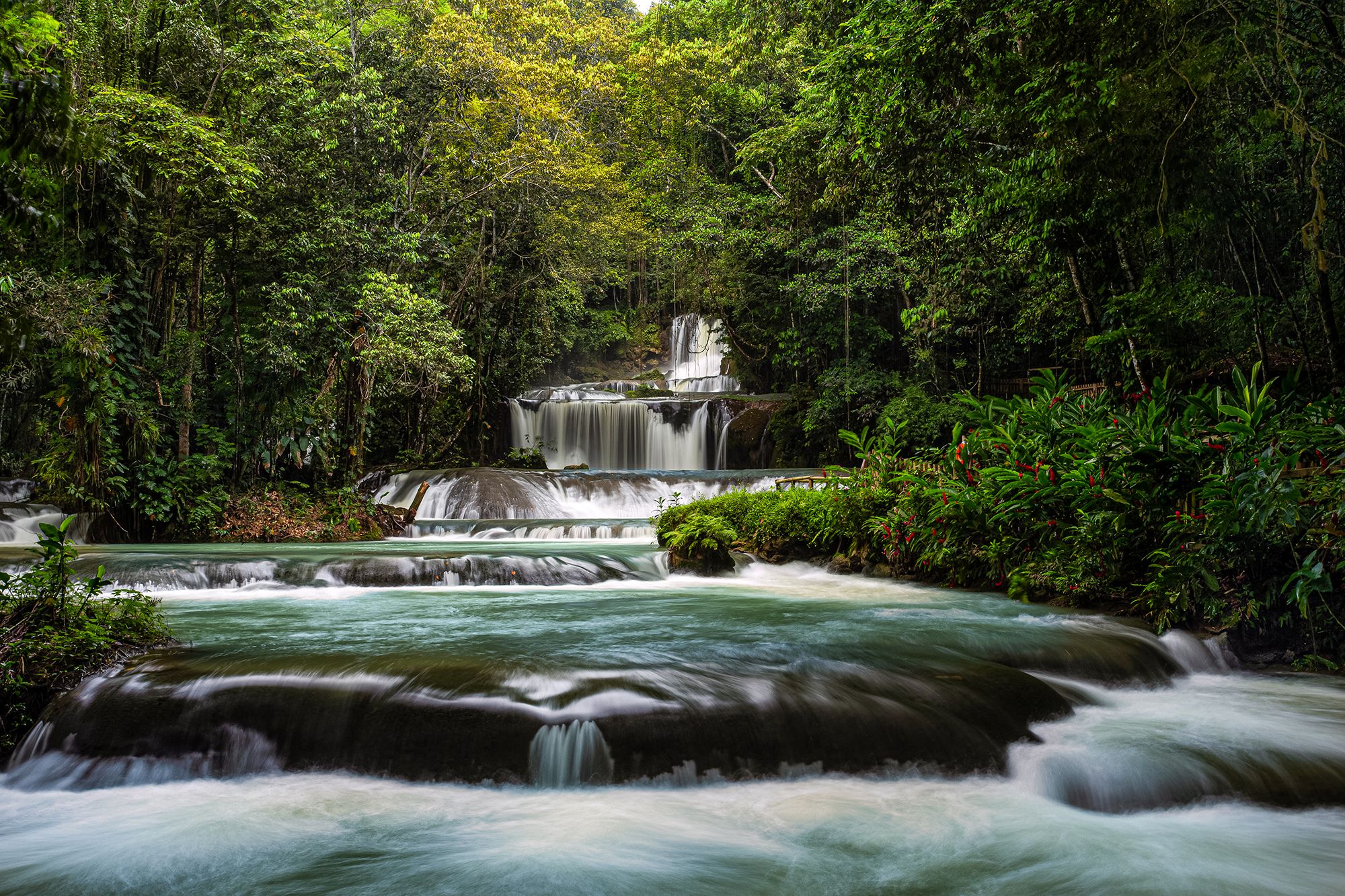 Waterfalls, Natural Pools & Gorgeous Gardens — Your Jamaica YS Falls Family Adventure Awaits!