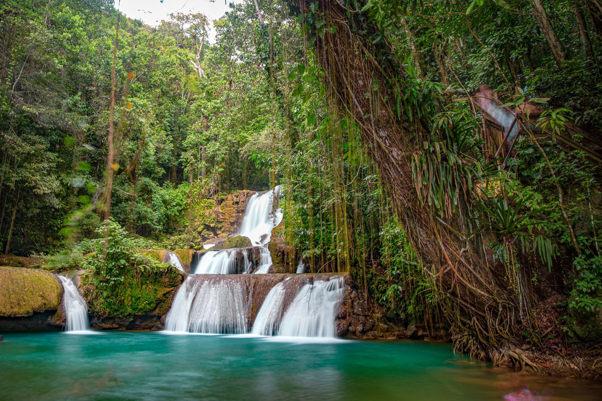 Waterfalls, Natural Pools & Gorgeous Gardens — Your Jamaica YS Falls Family Adventure Awaits!