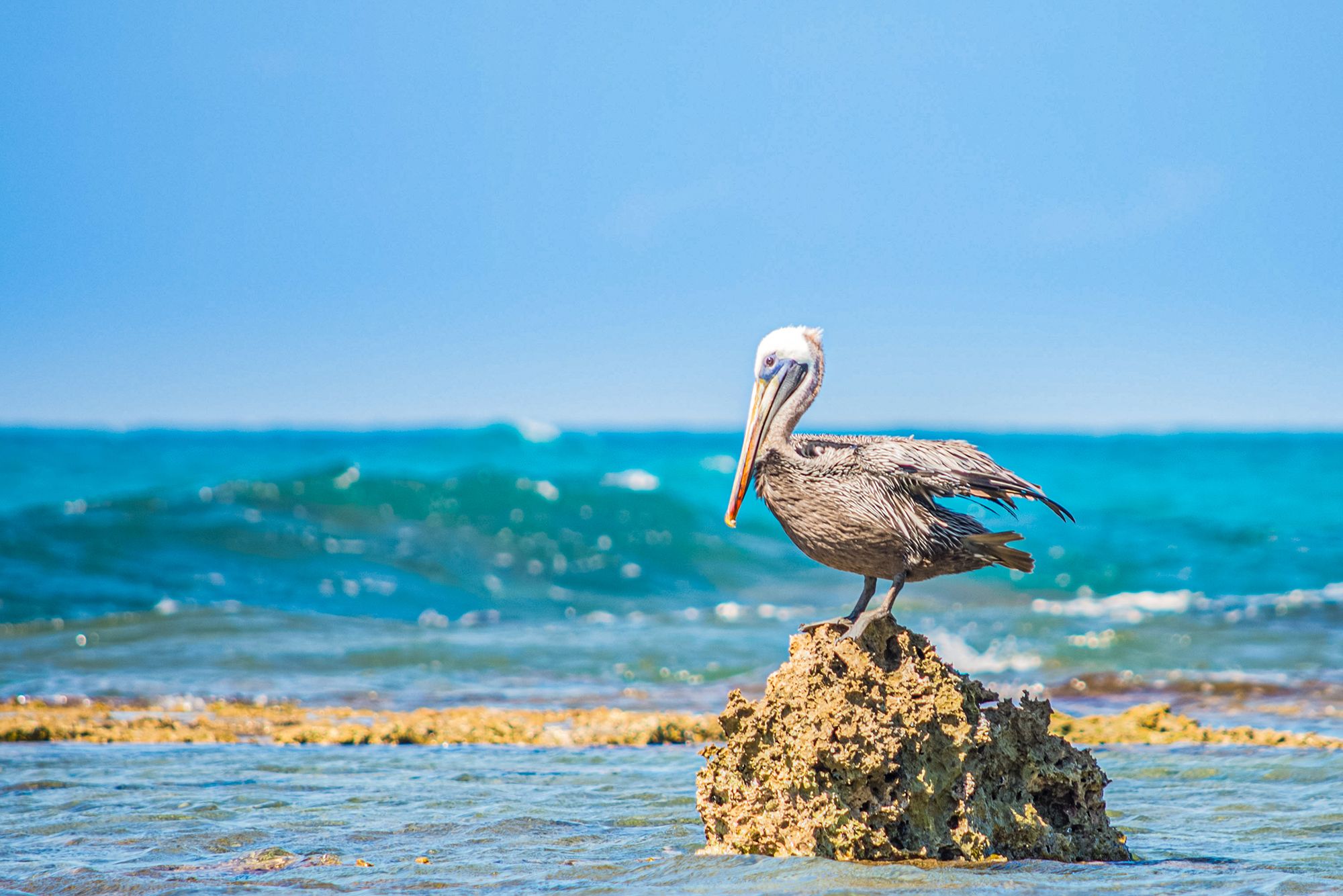 Here’s Why You’ll Love A Visit To Treasure Beach, Jamaica