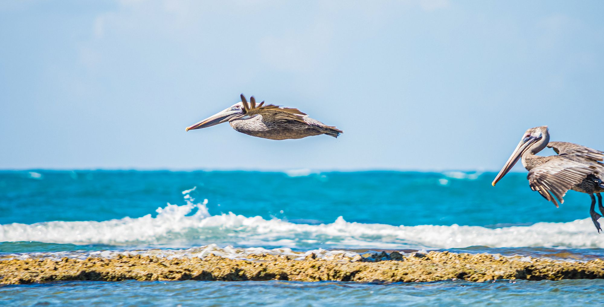 Here’s Why You’ll Love A Visit To Treasure Beach, Jamaica