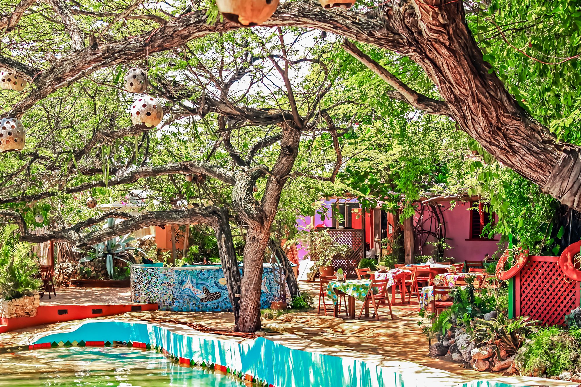 Treasure Beach Jamaica Pool Terrace